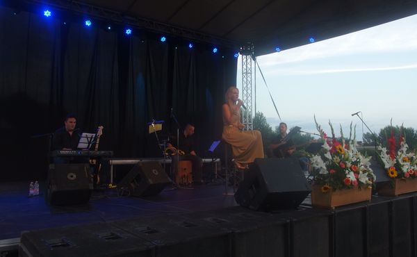 25. Falunap 2014. augusztus 9.