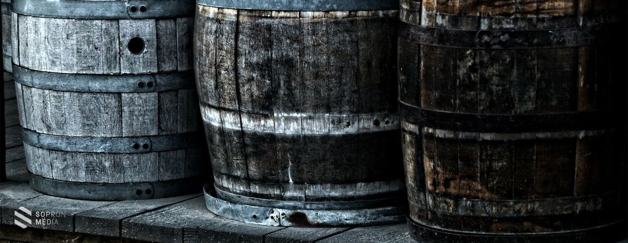 Sopron szülötte mutatta be a világon elsőként a csírátlanítás módszerét