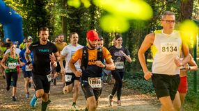 Vigyázz, kész, rajt! – XIV. Soproni Cross Futás