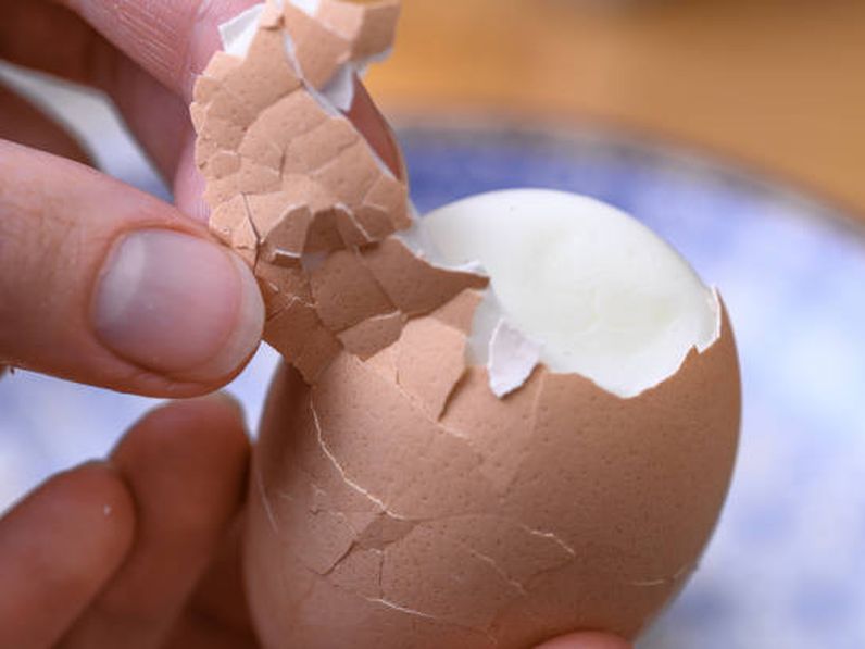 Ne csak húsvétkor együnk tojást!