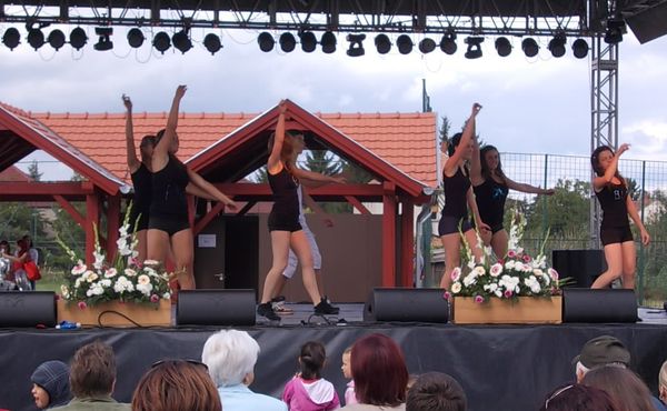 23. Falunap 2012. augusztus 11.