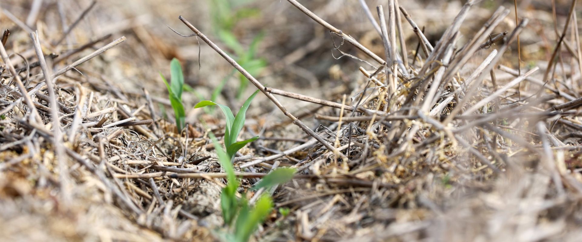 Agrofil-SZMI Kft.