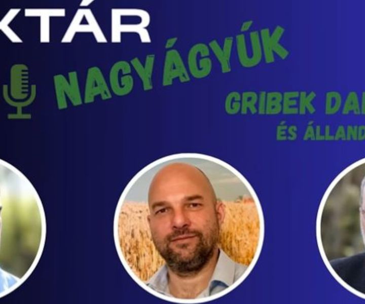 Ez katasztrófa! – Őszinte betakarítási értékelő és határszemle a HEKTÁR Nagyágyúkkal