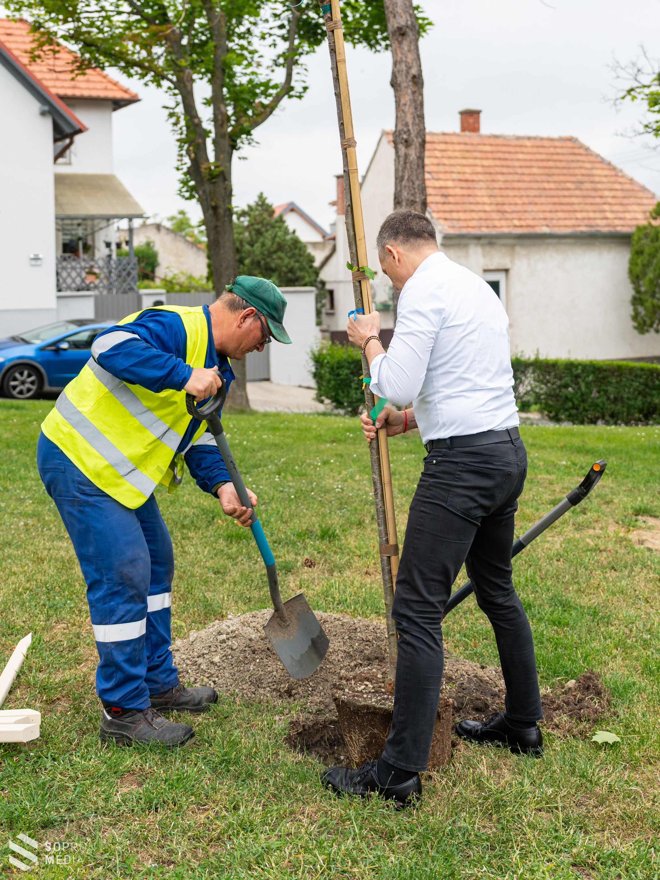 Elindult a faültetési program