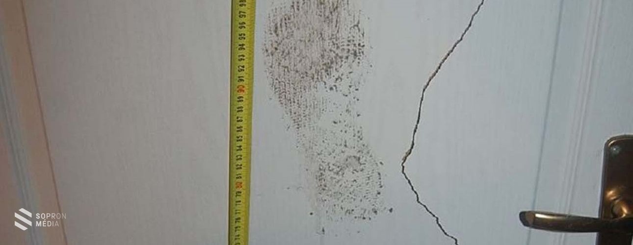 Rokonait is meglopta a fiatal férfi - ügyében a Soproni Járásbíróság dönt