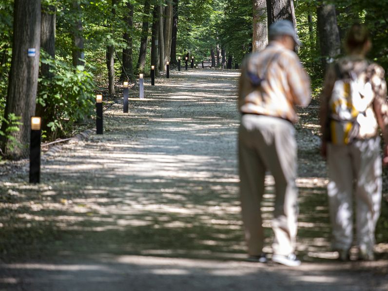 Új lámpákat helyeztek el az Ojtozi sétányon