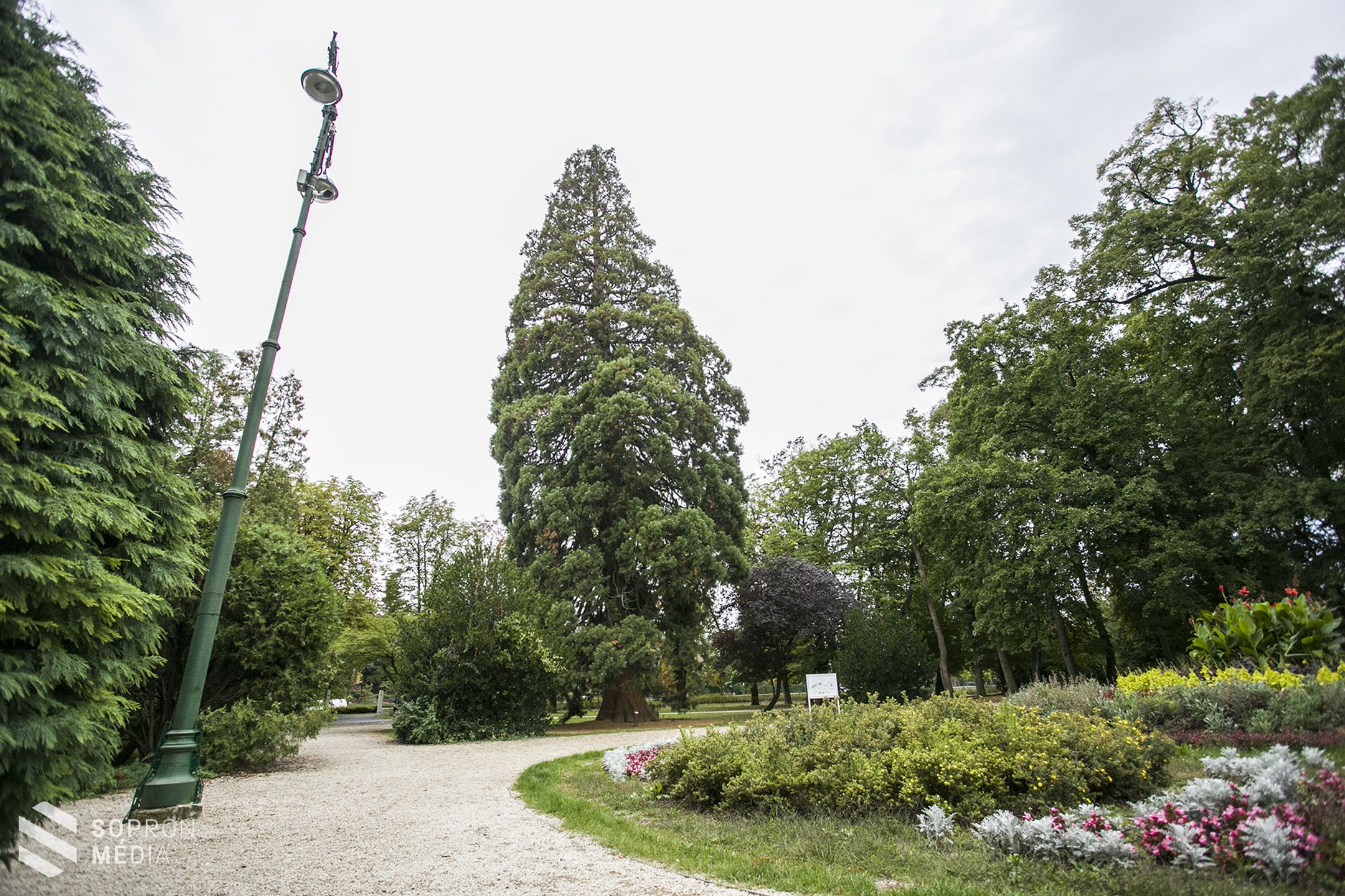 Öt érdekesség a soproni Erzsébet-kertről 
