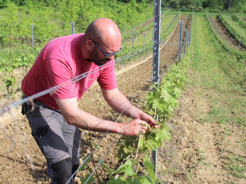 Elindult térségünkben is a JÉGER program