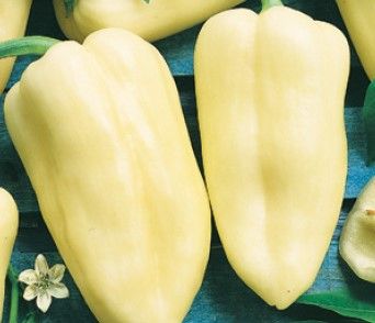 Paprika Fehérözön   5 g