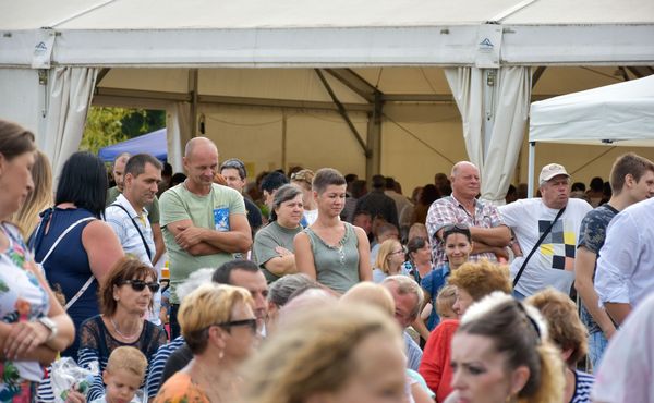 30. Falunap 2019. augusztus 3.