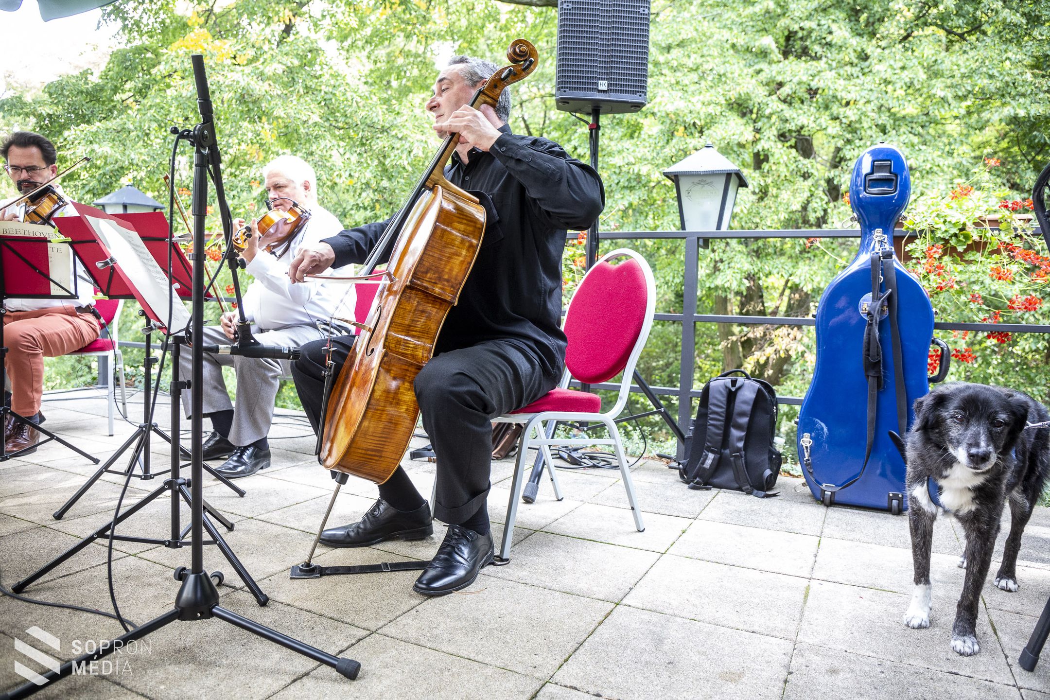 Beethoven a szabadban