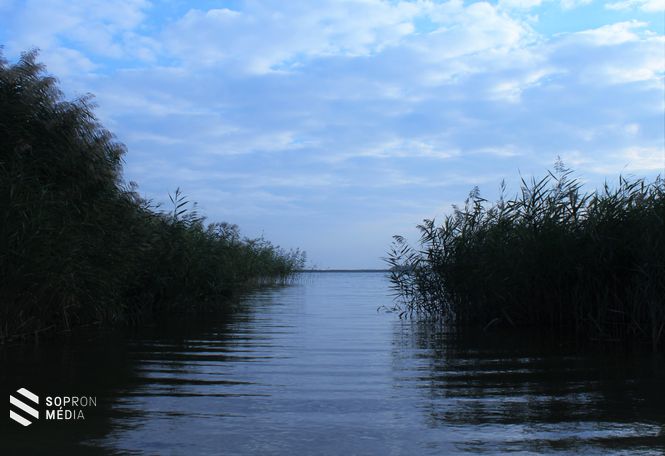Fertő tó