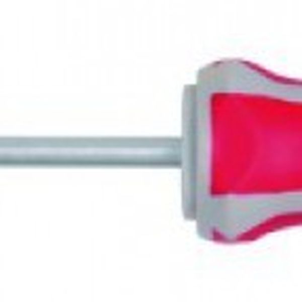 POZI CSAVARHÚZÓ 2X100 MM 14280204