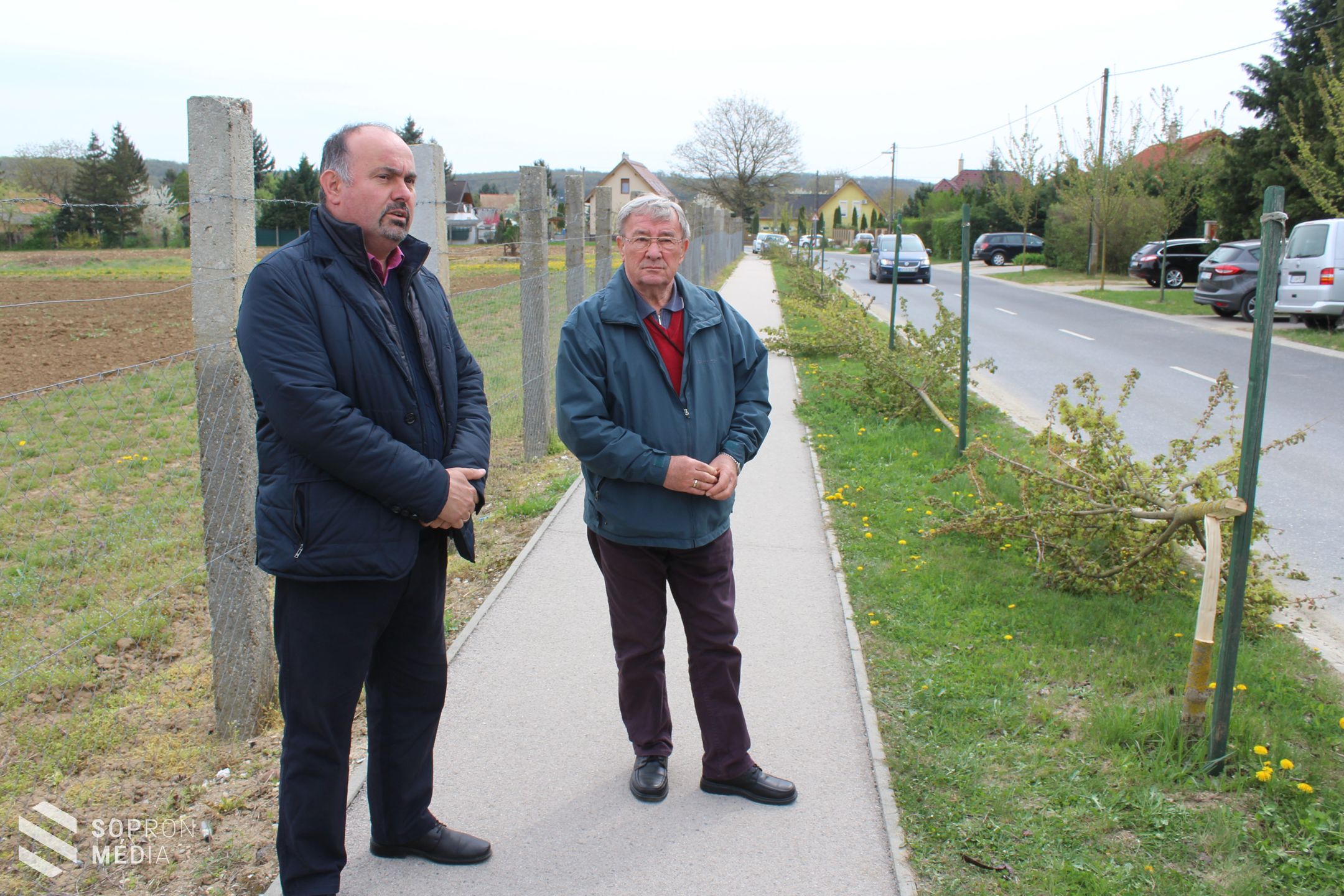 Összesen 51 fát pusztítottak ki a tómalmi városrészben / Nyomravezetői díjat ajánlottak fel! 