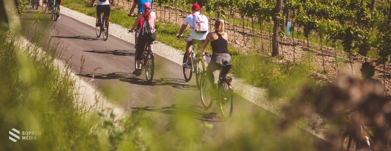 Fedezd fel a Hűség Városát! - Bemutatkoznak a SopronFest túrái