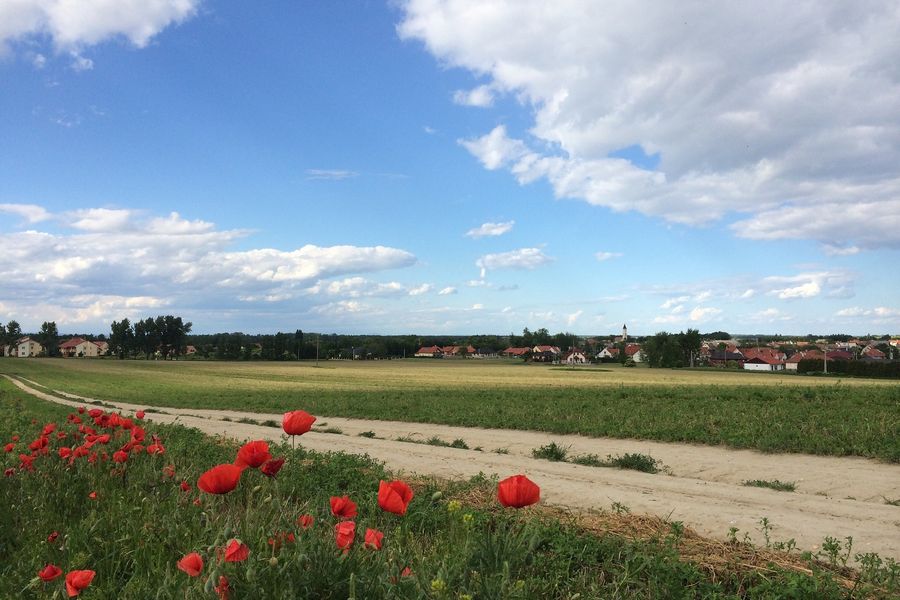 Miért éppen a Fertő-táj? Látnivalók, kirándulóhelyek, természet és vidéki báj - 1. rész