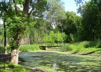 Kastélypark Borsodivánka