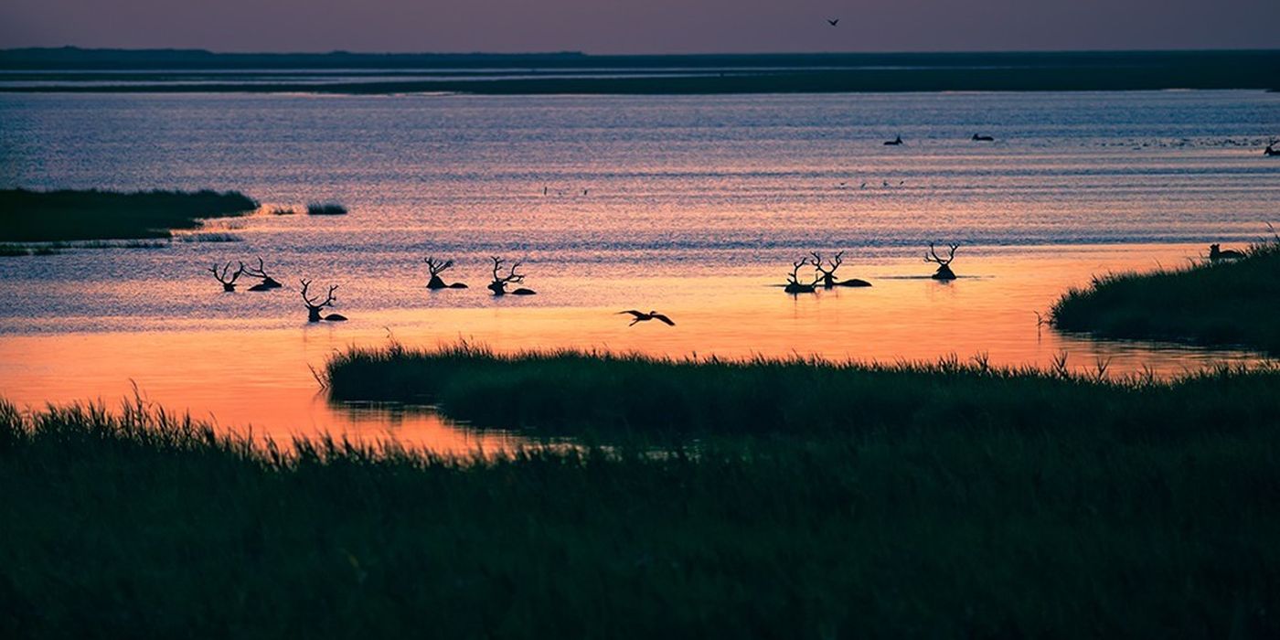 Fertő-Hanság Nemzeti Park