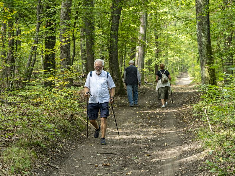 Átadták a Vadgazdálkodási, vadászati tanösvényt