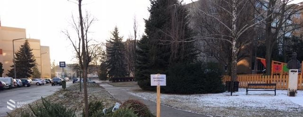 Mutatjuk hol vannak a karácsonyfa gyűjtőhelyek városunkban!