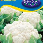 Karfiol Snowball X  1 g termék képe
