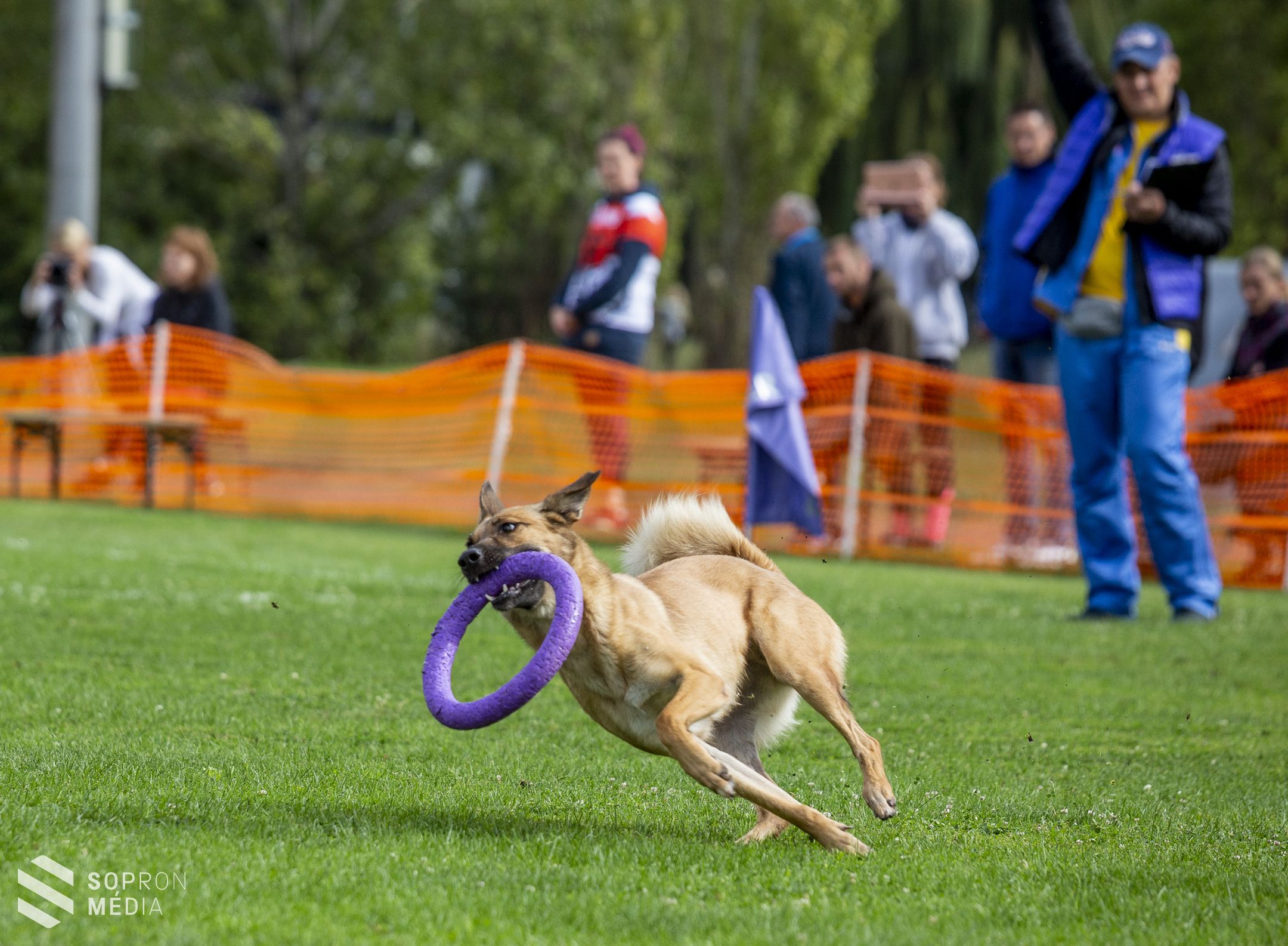 II. Dog Puller Világbajnokság