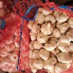 Tavaszi fokhagyma Morado 5000g termék képe