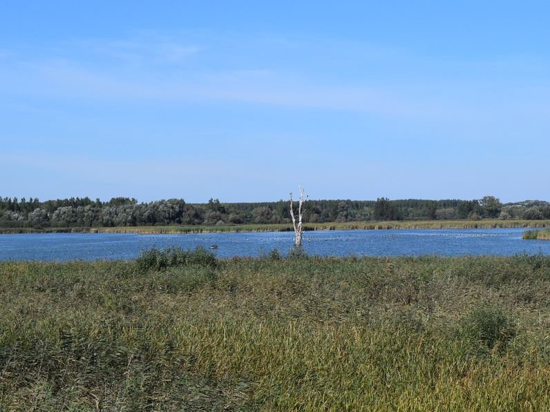 Hanság: az egyik legizgalmasabb hazai táj és „szülötte”, Hany Istók