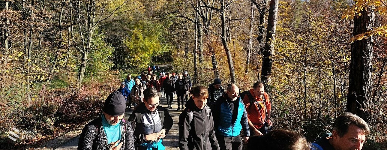 Mozgalmas hétvégéje volt a Shotokan Tigriseknek