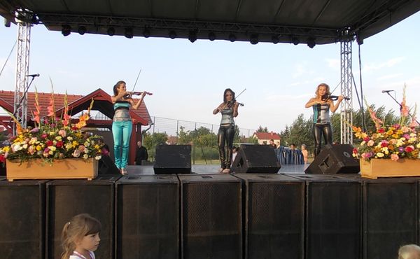 24. Falunap 2013. augusztus 10.