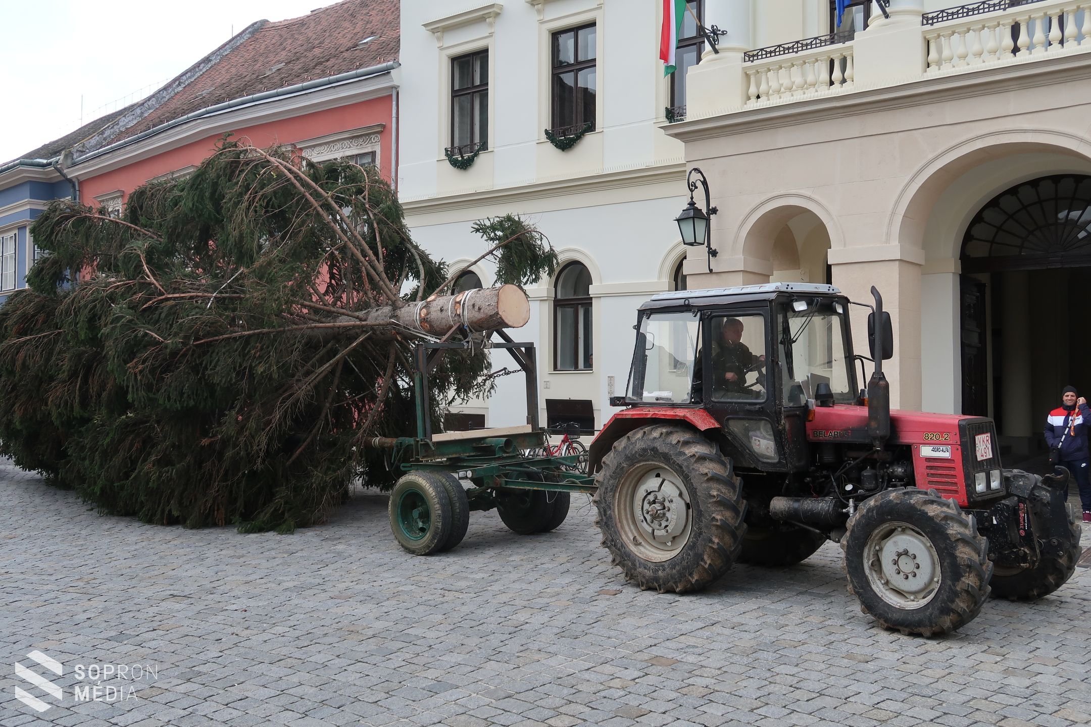 Megérkezett a város karácsonyfája