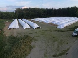 Lucernaszenázs töltés - Somogysimonyi 2018