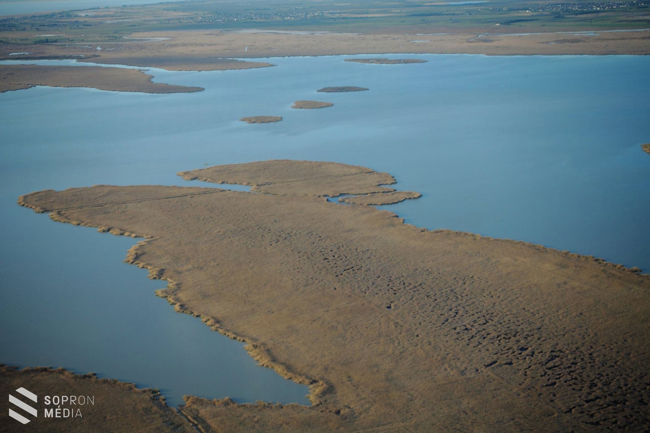 A levegőből keresgélik a kócsagtelepeket a Fertőn