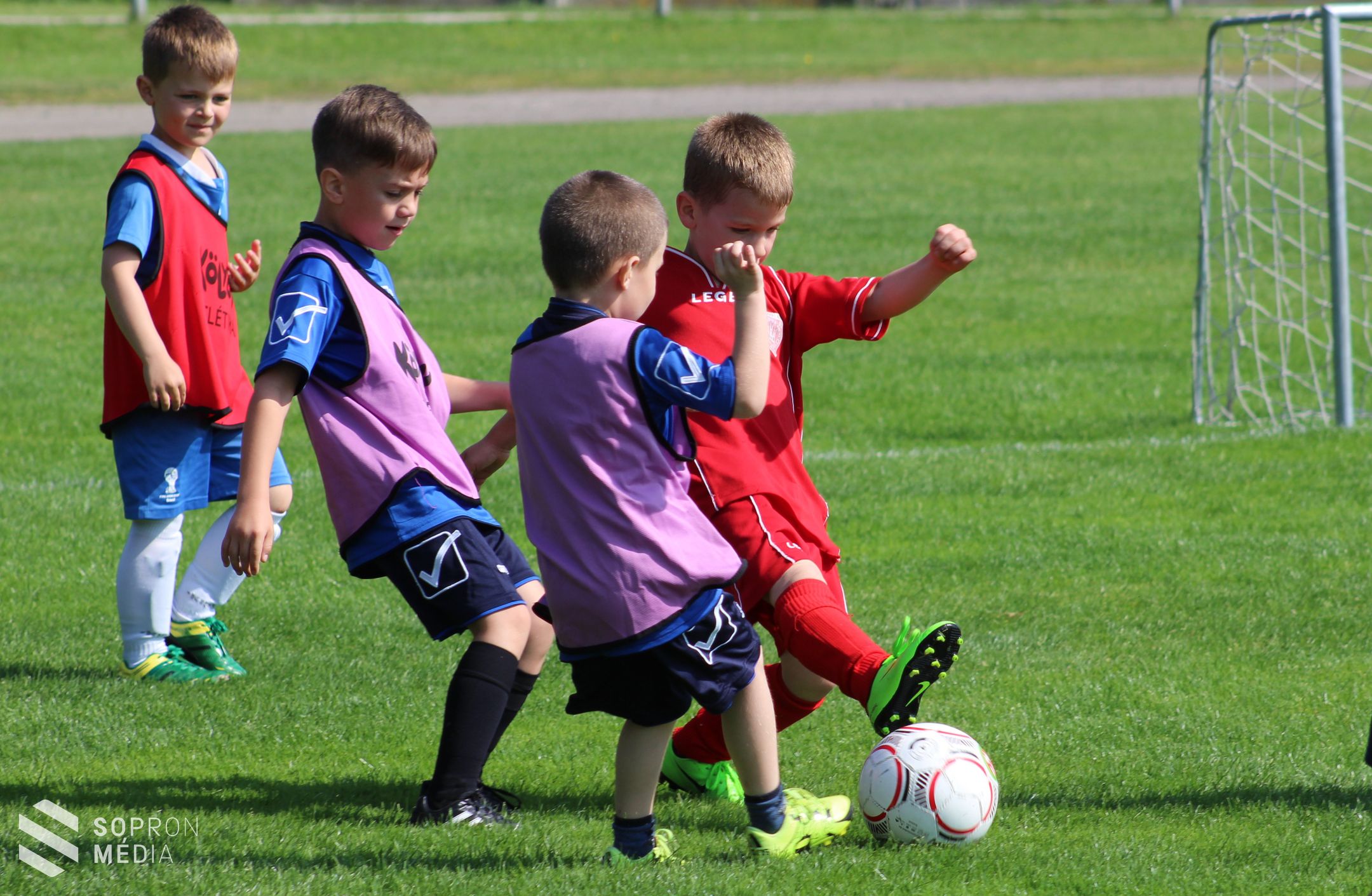 Közel kétszáz óvodás focizott az Ágfalvi úton (galéria)