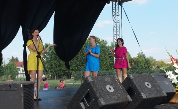 25. Falunap 2014. augusztus 9.