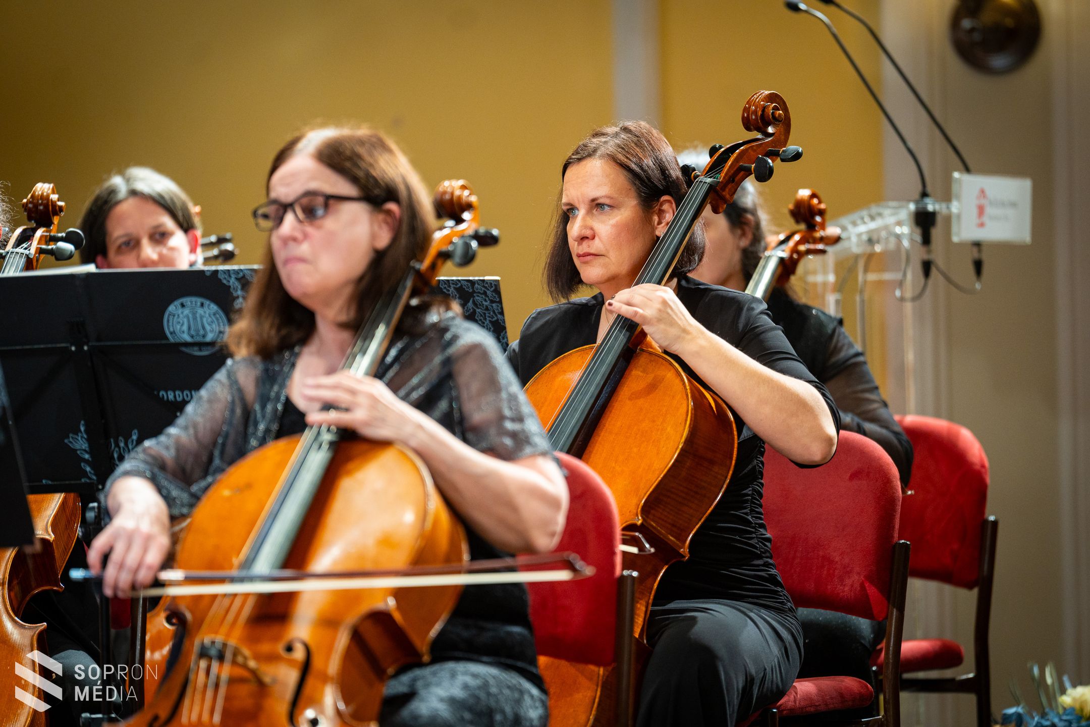 Ismét koncerttel indította az évet a Soproni Liszt Ferenc Szimfonikus Zenekar