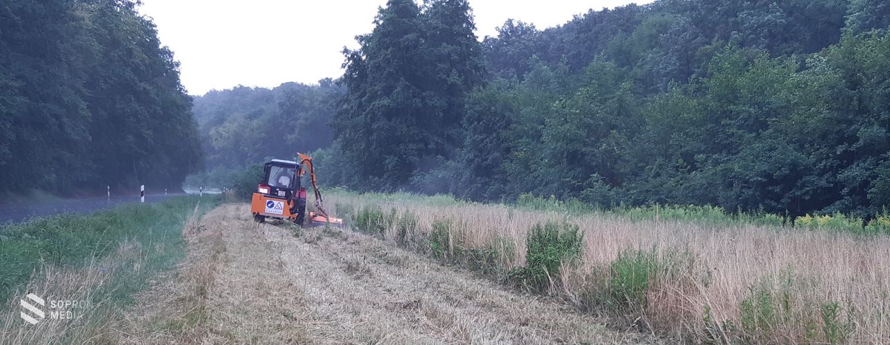 Az erdőtüzek megelőzésén dolgoznak a TAEG Zrt. munkatársai