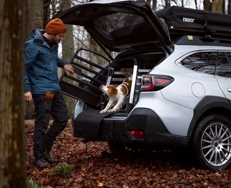 Thule Allax - kutyabox