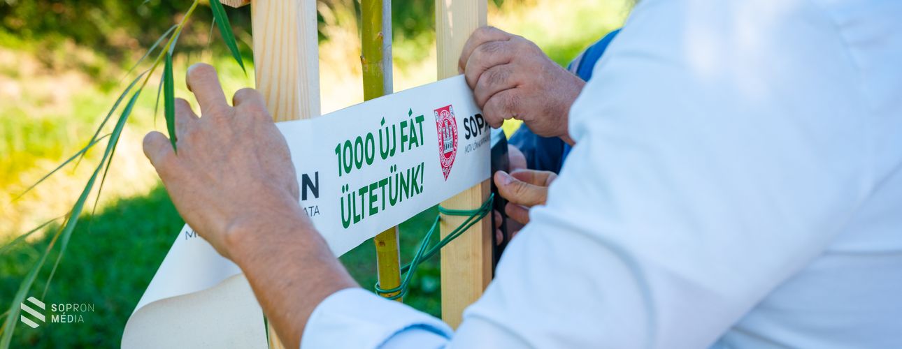 Folytatódik az „1000 új fát ültetünk” program