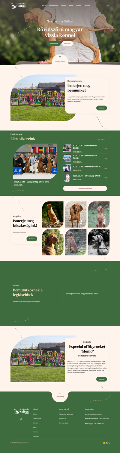 Scarbantia Saltus oldalról készített képernyőkép