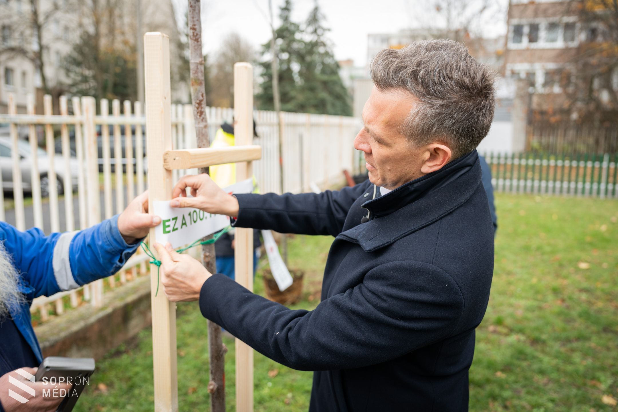 Elültették a 100. új fát Sopronban