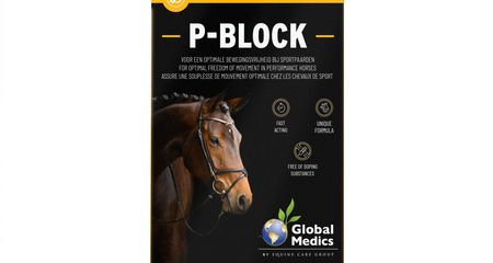 GLOBAL MEDICS P-BLOCK 10x30 GR