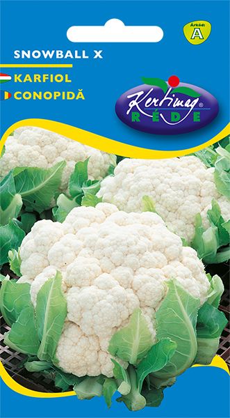 Karfiol Snowball X  1 g termék képe