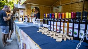 Elkezdődött a Soproni Szüreti Napok programsorozata