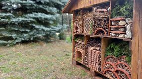 Házi készítésű méhecskehotelekkel segíthetjük a beporzó rovarokat