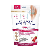 Interherb Intense kollagén hyaluronsav por eper (300g)