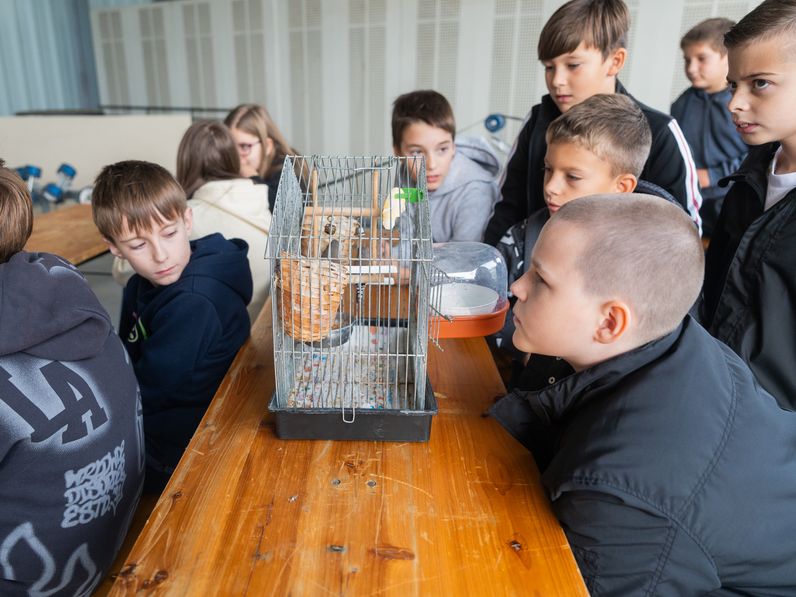 A közelgő állatok világnapja alkalmából tartottak rendhagyó állatvédelmi programot a Soproni Rendőrkapitányságon