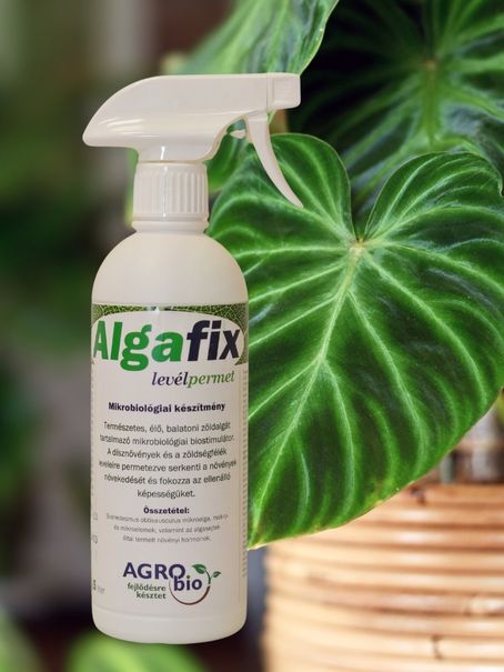 Algafix levélpermet 500 ml BIO