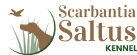 Scarbantia Saltus logó