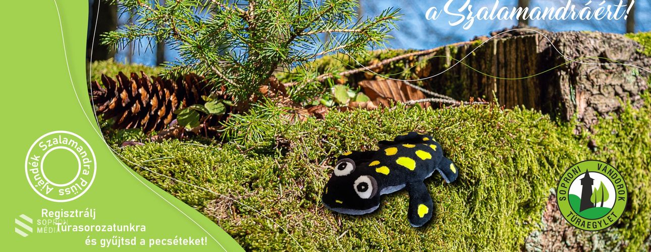 Vándorolj a Szalamandráért!